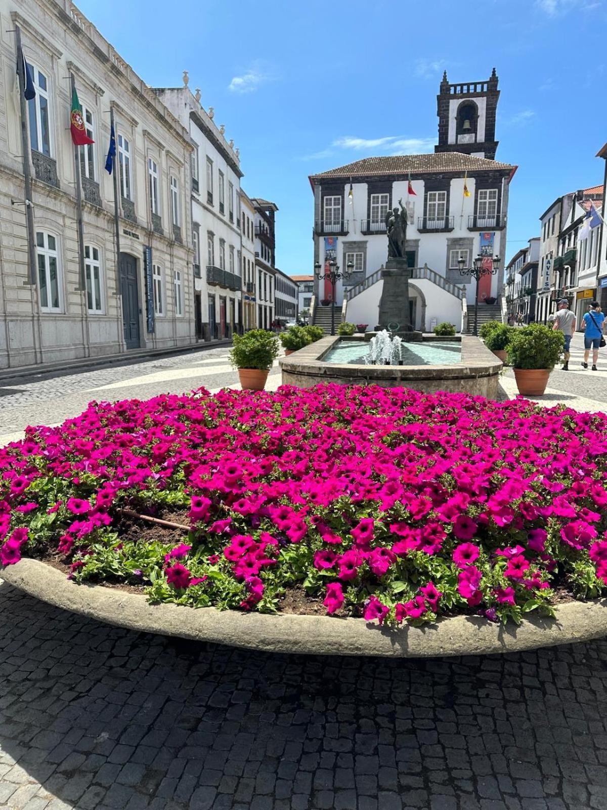 Azor International Apartment I Ponta Delgada Zewnętrze zdjęcie